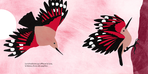 La voix de la forêt, Sophie Boudieux et Evelyne Mary